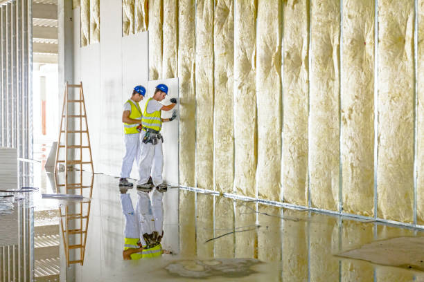 Best Eco-Friendly Insulation in Bay, AR